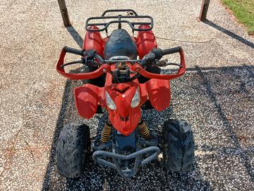 mini quad