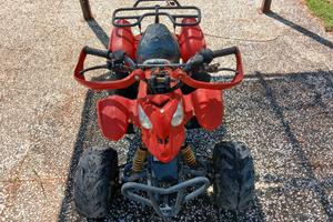 mini quad