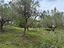 Immagine 12