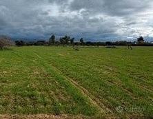 Terreno agricolo privato