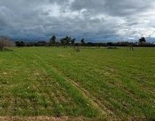 Terreno agricolo privato