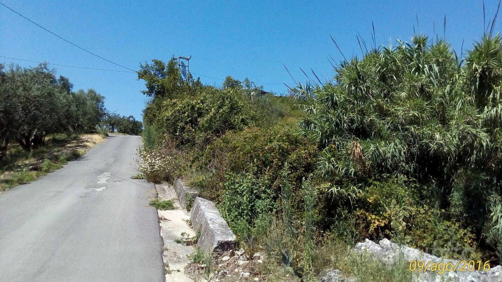 Terreno agricolo - Vista 3