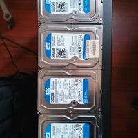 4 dischi wd blue 500gb