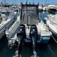 Trophy bayliner