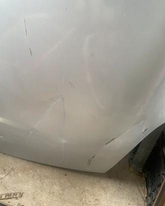 Cofano punto evo