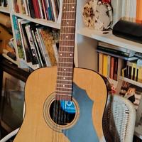 Chitarra acustica 12 corde