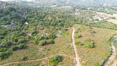 TER. AGRICOLO A ARZACHENA