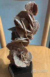 Rosa del deserto