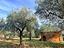 Immagine 14
