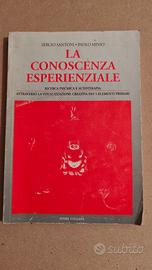 Santoni Minio - La conoscenza esperienziale