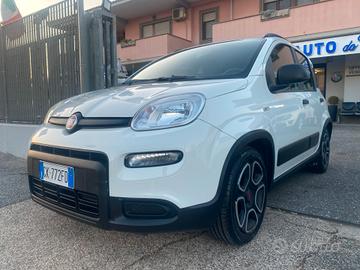 FIAT PANDA 1.0 hybrid 70Cv 5posti CITY-LIFE