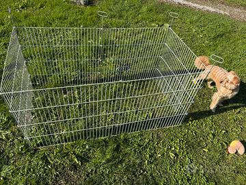 Recinto metallico per piccoli animali