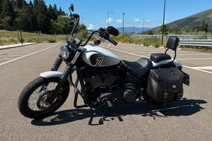 Harley-Davidson Street Bob 114 - 7460 km - Stage 1