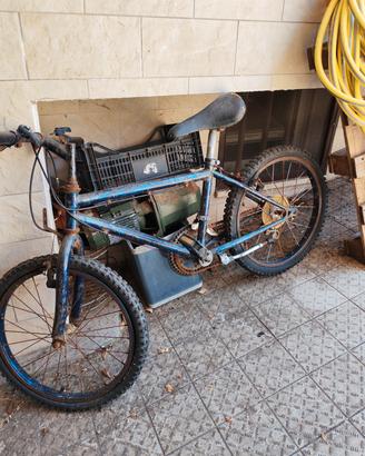 bici 24'