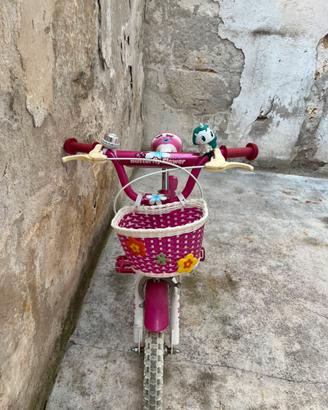 Bicicletta