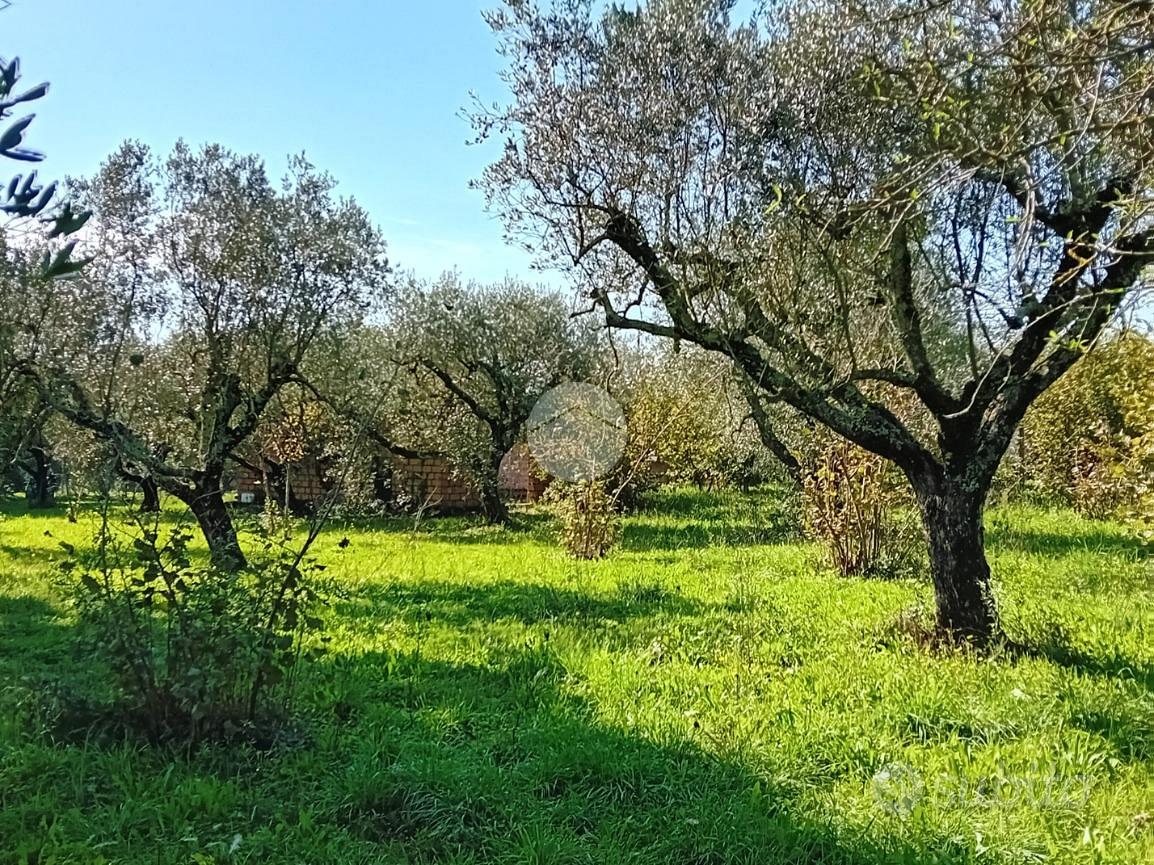 RUSTICO A CASTEL SANT'ELIA - Vista 5