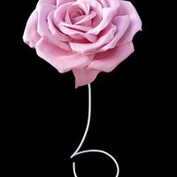 rosa gigante con stelo removibile bianco 