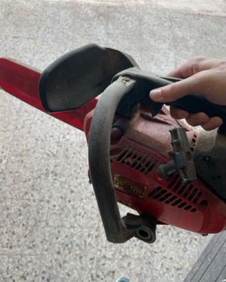 motosega da potatura a scoppio