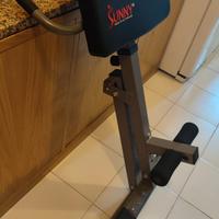 panca romana o inclinata