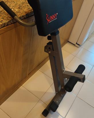 panca romana o inclinata