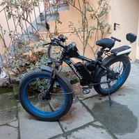 Bici elettrica 
