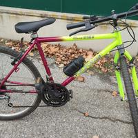 Bicicletta Mountain bike
