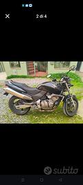 Honda Hornet