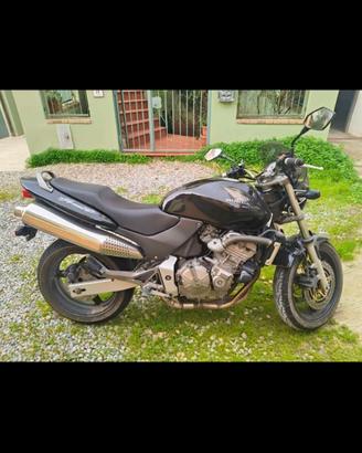 Honda Hornet