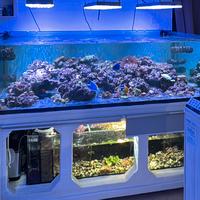 Acquario marino completo 1000 litri