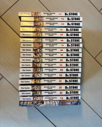 saga dr.stone+reboot