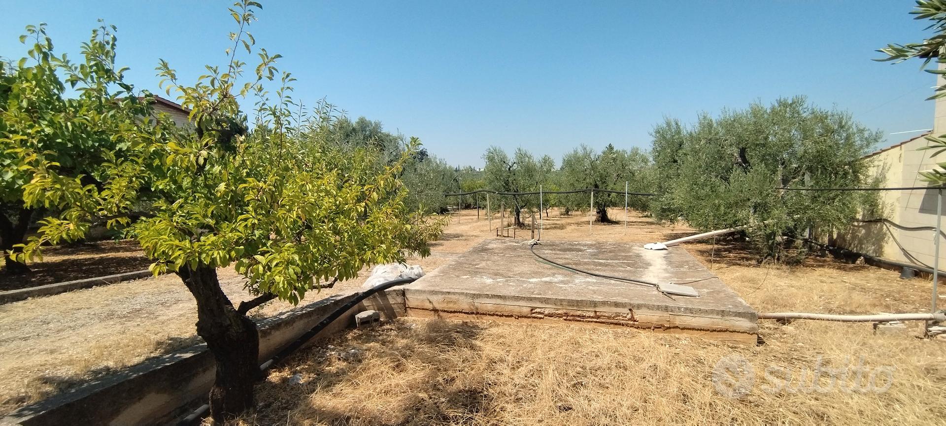 terreno edificabile - Vista 5