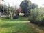 Immagine 11