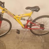 Bici ragazzo/ragazza