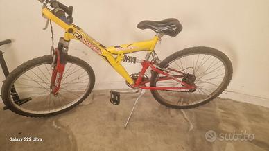 Bici ragazzo/ragazza