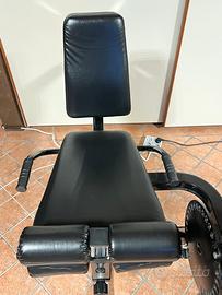 Leg extension/leg curl