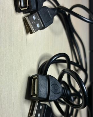 2 prolunghe USB 2.0 maschio/femmina