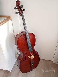 violoncello