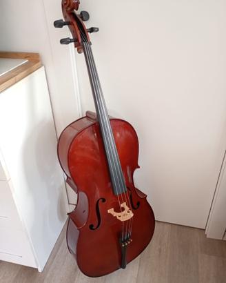 violoncello