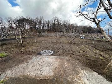Cod.TA132 Terreno agricolo zona Tarderia