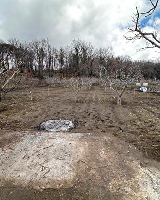 Cod.TA132 Terreno agricolo zona Tarderia