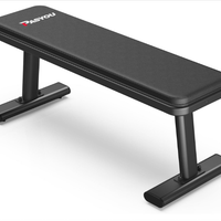 PASYOU PW100 Panca Palestra, Panca Piana Palestra
