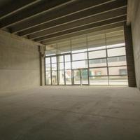 CAPANNONE A CAPRIOLO