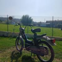 Califfone 50cc