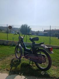 Califfone 50cc