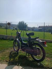 Califfone 50cc