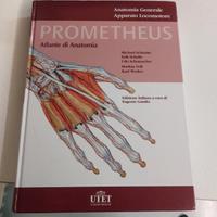 Atlante di Anatomia Prometheus