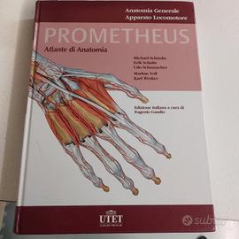 Atlante di Anatomia Prometheus