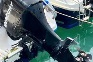 Motore fuoribordo Mercury 40/60