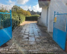 Villa con trullo immersa nel verde