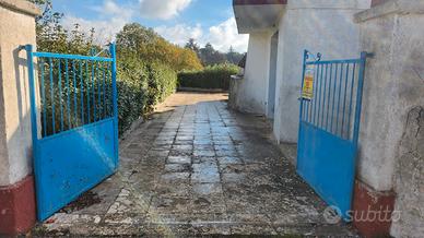 Villa con trullo immersa nel verde